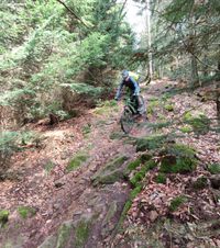 Felix beim Downhill Fahren