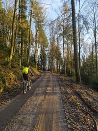 Gef&uuml;hrte Mountainbiketour Oberkirch